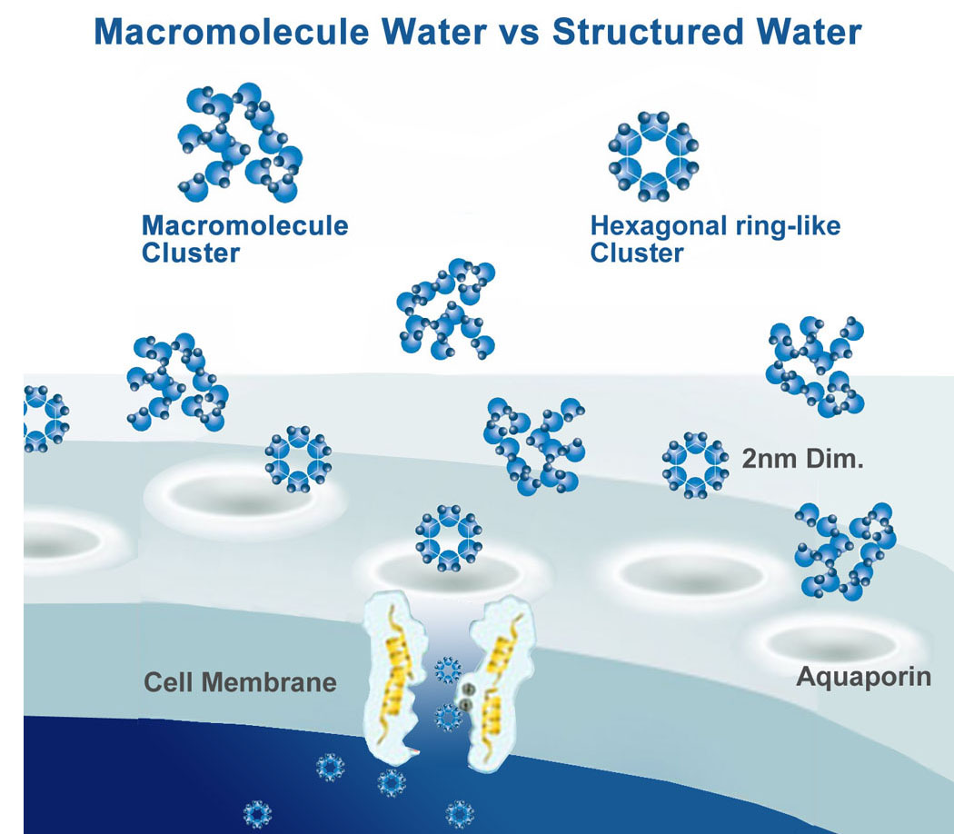AquaHex Hexagonal water vs unstructured water